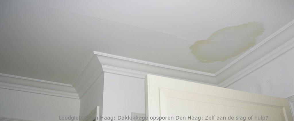 Daklekkage Opsporen Den Haag
