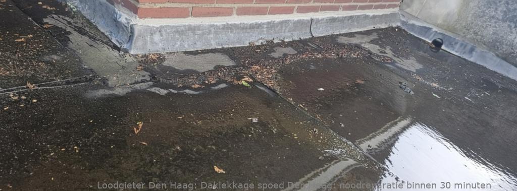 Daklekkage Spoed Den Haag