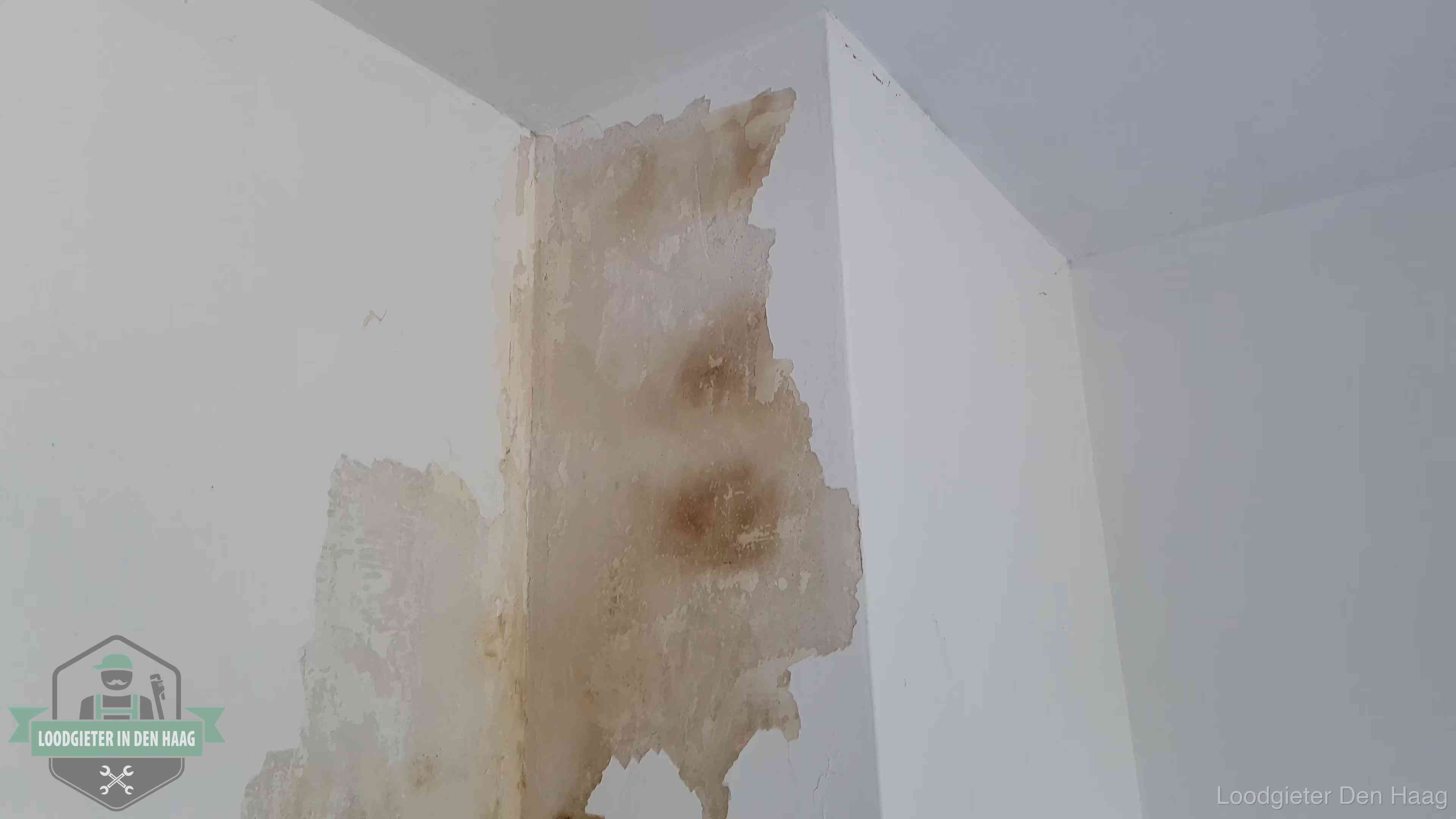 Bruine vochtkringen en afbladderend stucwerk op een binnenmuur in Den Haag, een eerste teken van daklekkage
