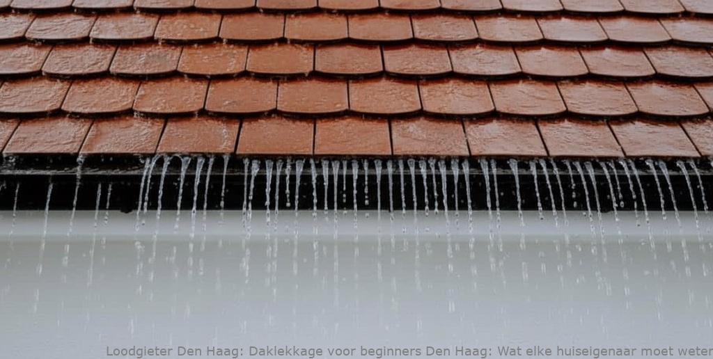 Daklekkage Voor Beginners Den Haag