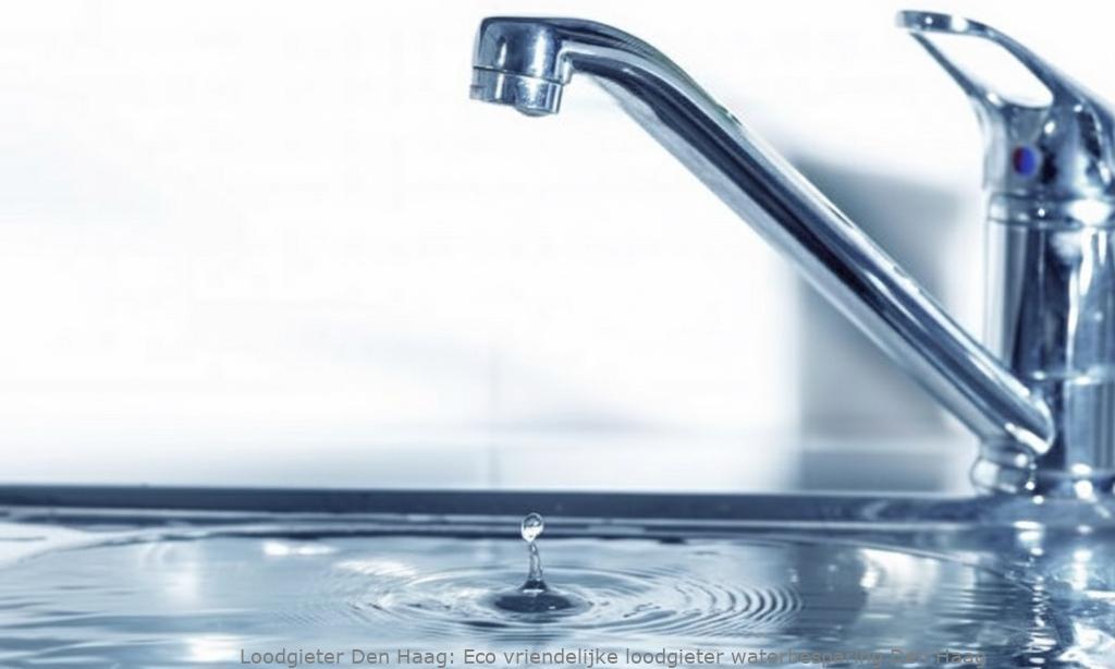 Eco Vriendelijke Loodgieter Waterbesparing Den Haag