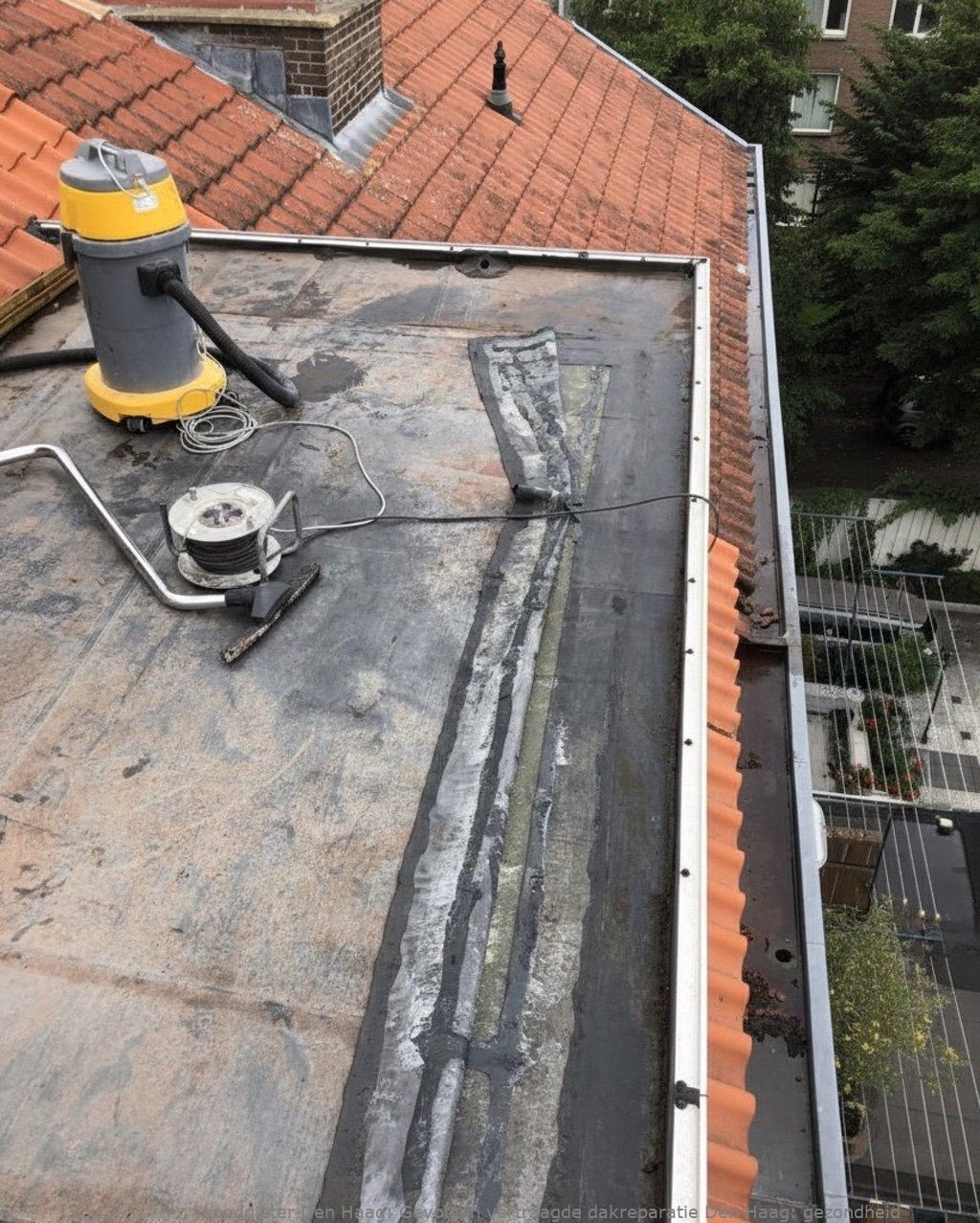 Gevolgen Vertraagde Dakreparatie Den Haag