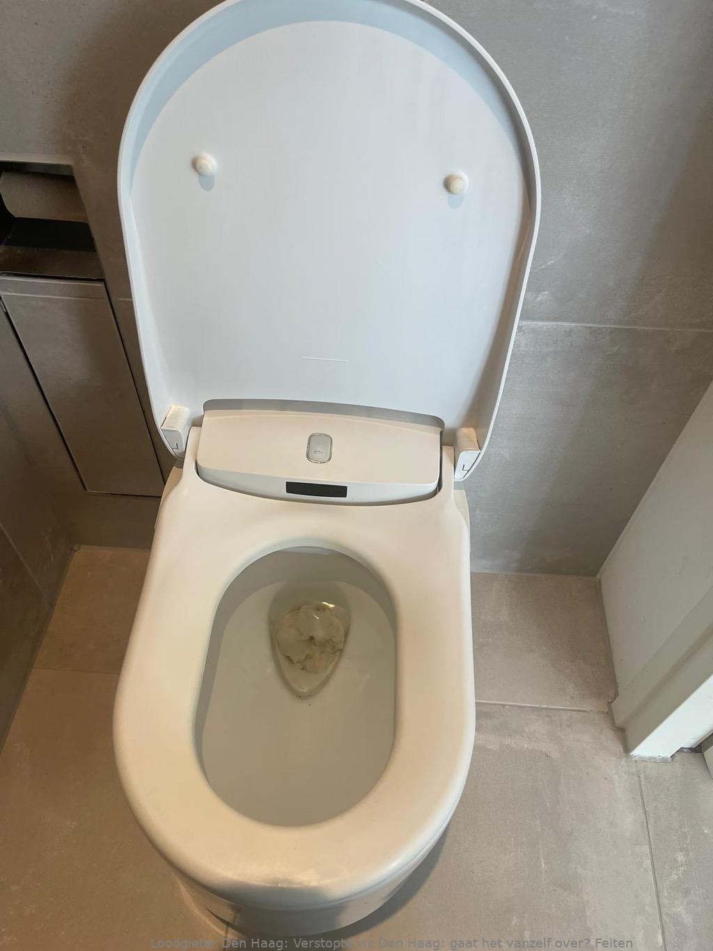 Herken Verstopte Wc Den Haag