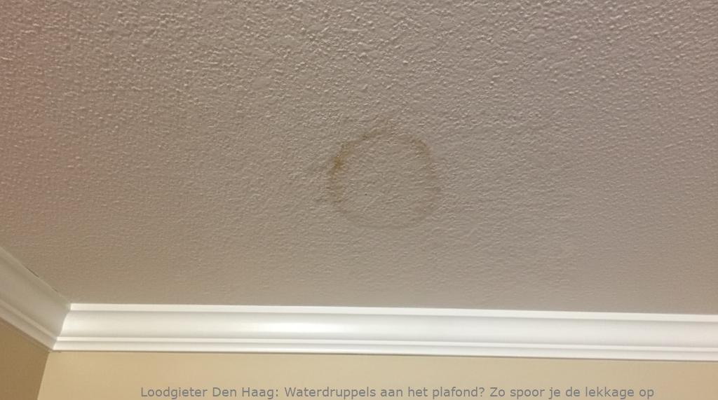 Lekkage Plafond Den Haag