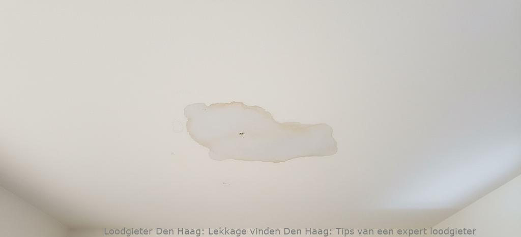 Lekkage Vinden Den Haag