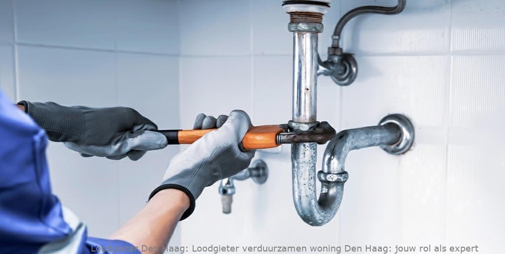 Loodgieter Verduurzamen Woning Den Haag