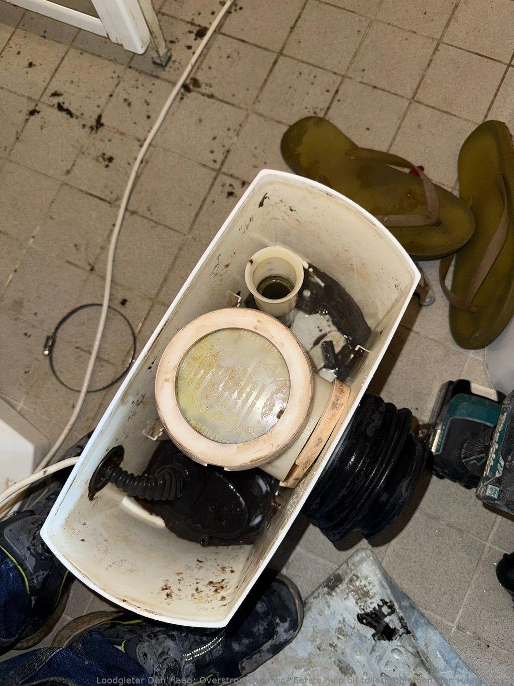 Overstromende Wc Eerste Hulp Den Haag