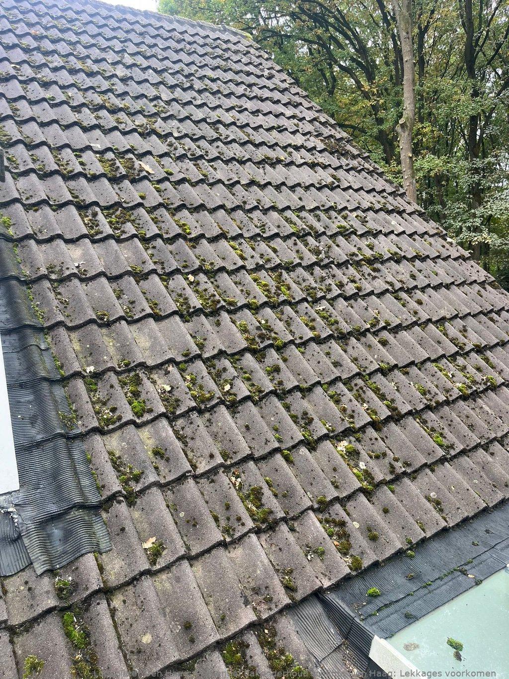 Preventief Dakonderhoud Schema Den Haag