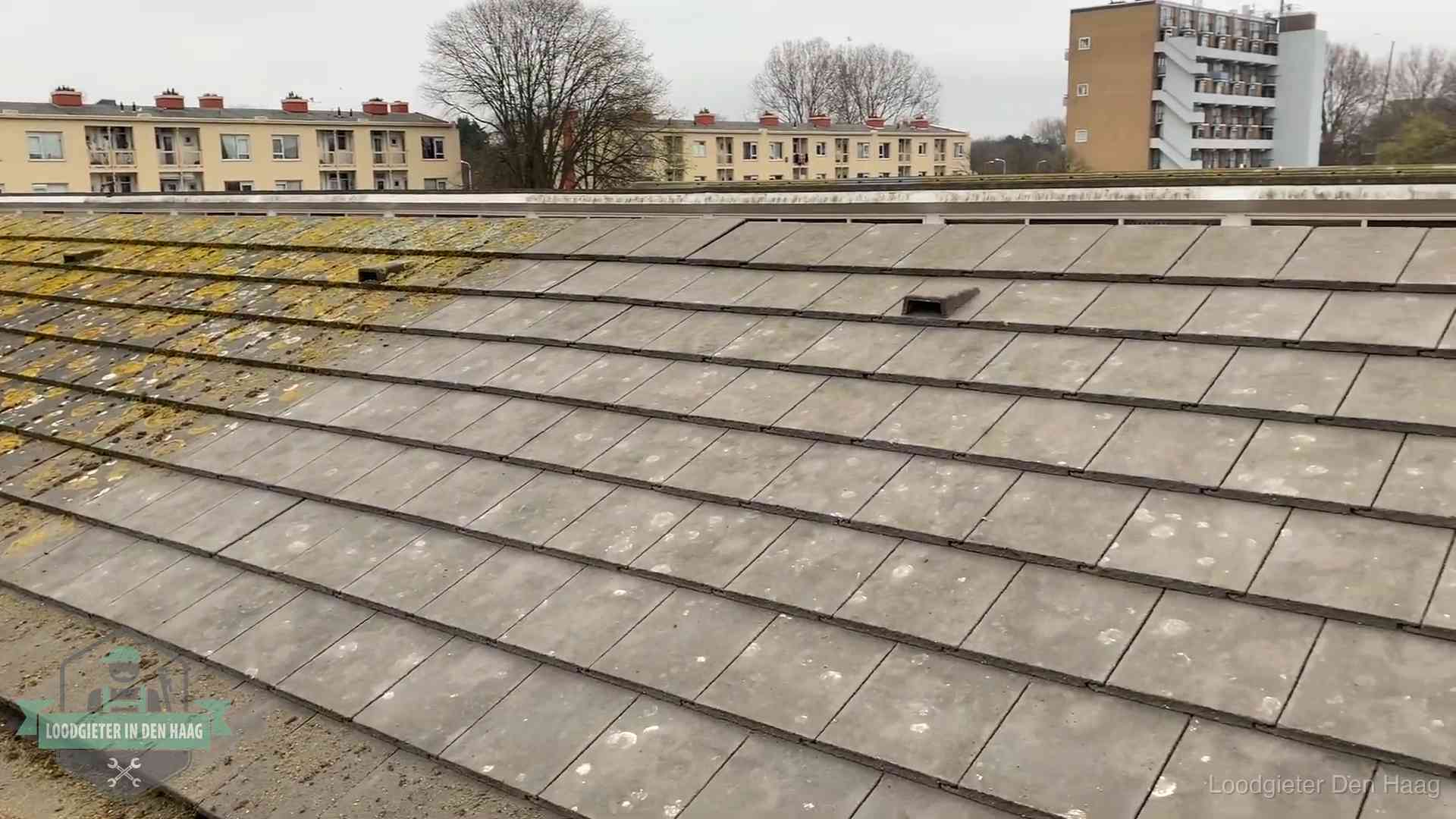 Schuin dak met betonpannen vol mos in Den Haag, een risico op lekkage bij de pannen
