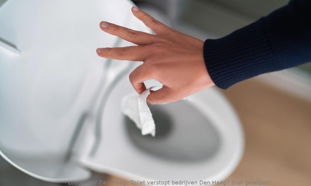 Toilet Verstopt Bedrijven Den Haag